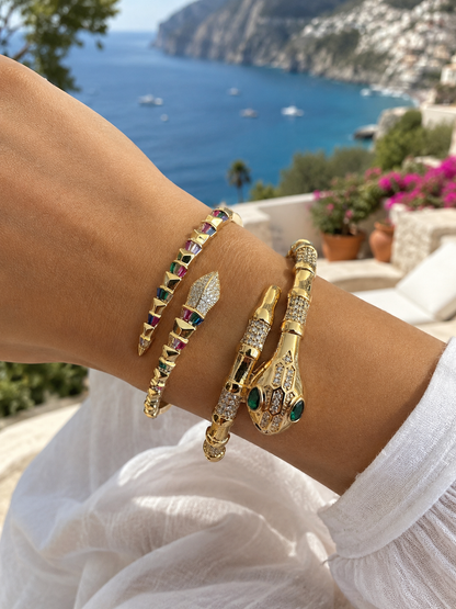 Colorful Serpent Bangle and Ring