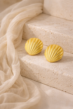 Sea Shell Earrings